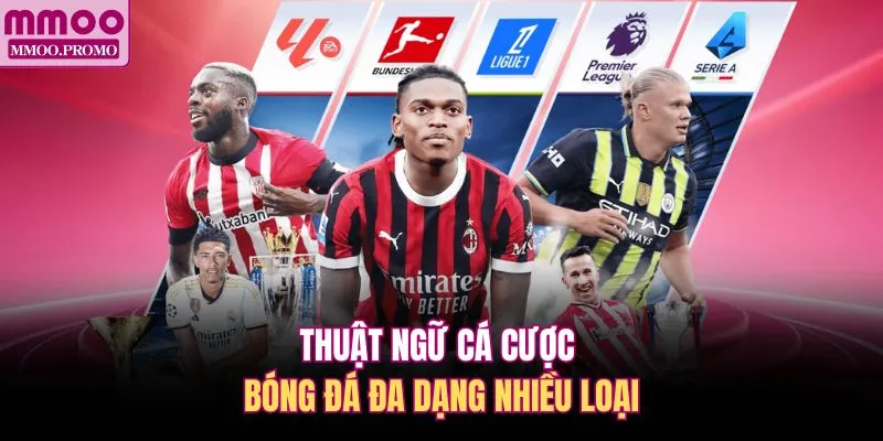 Thuật ngữ cá cược bóng đá đa dạng nhiều loại